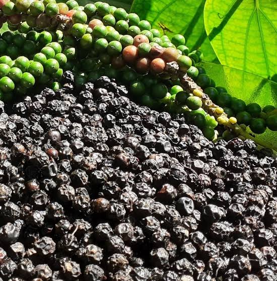 Black pepper