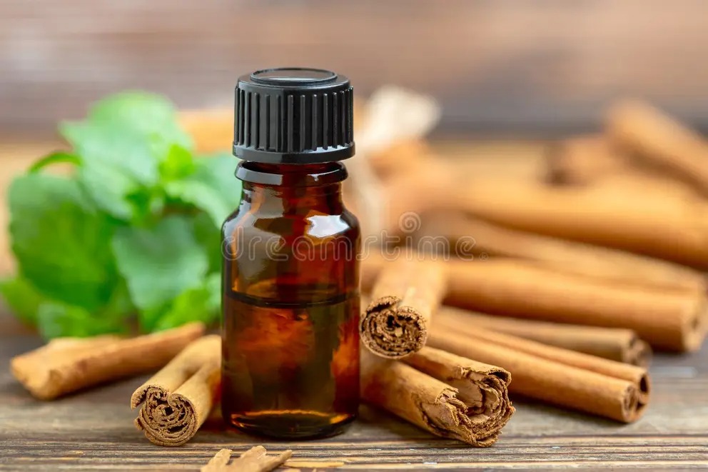 Cinnamon bark oil