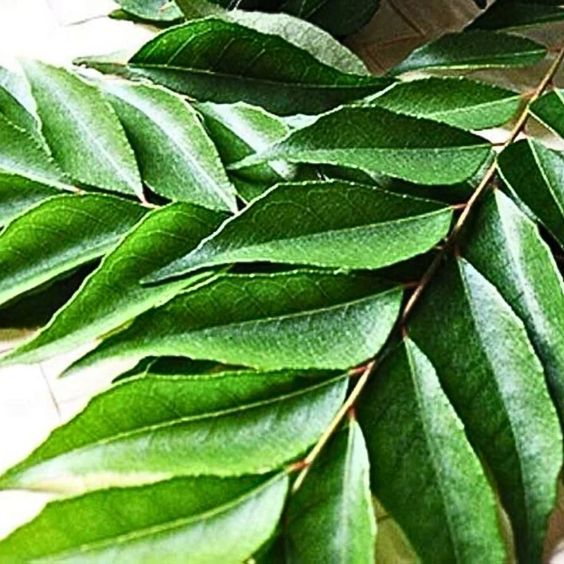 Curry leaves